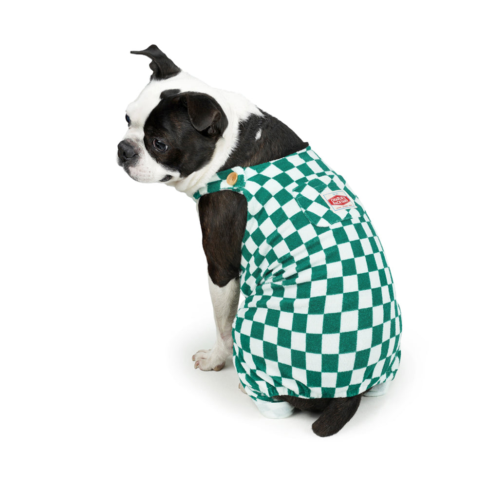 Charlie's Backyard Teddy Overalls for Dogs (Green)