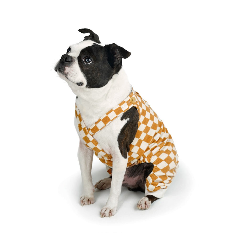 Charlie's Backyard Teddy Overalls for Dogs (Mustard)