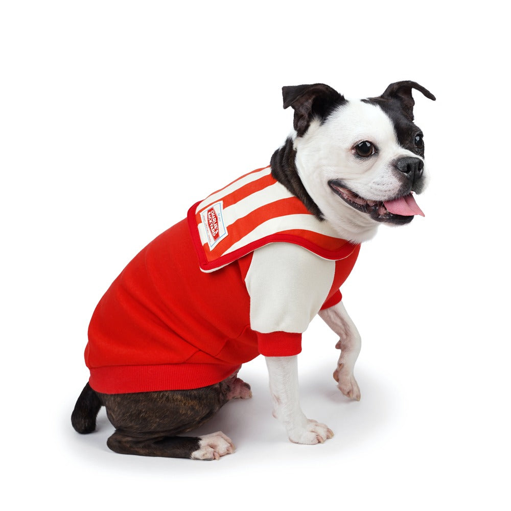 Charlie's Backyard Yacht Tee for Dogs (Red)