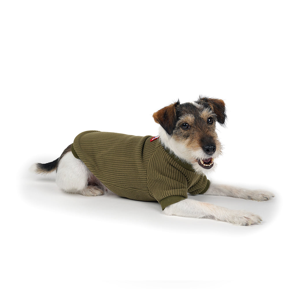 Charlie's Backyard Bella Tee (Khaki)