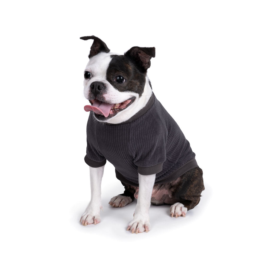 Charlie's Backyard Billy Tee (Grey)