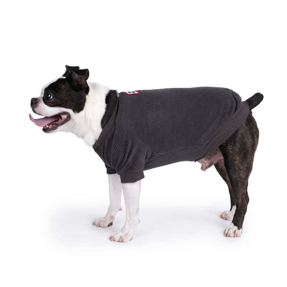 Charlie's Backyard Billy Tee (Grey)