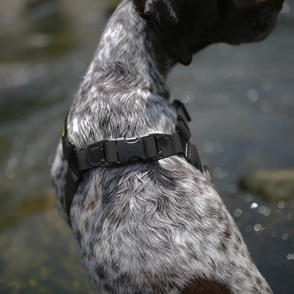Charlie's Backyard DeWater Harness for Dogs (Black)