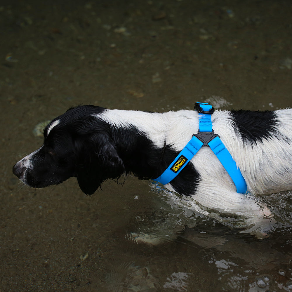 Charlie's Backyard DeWater Harness for Dogs (Blue)