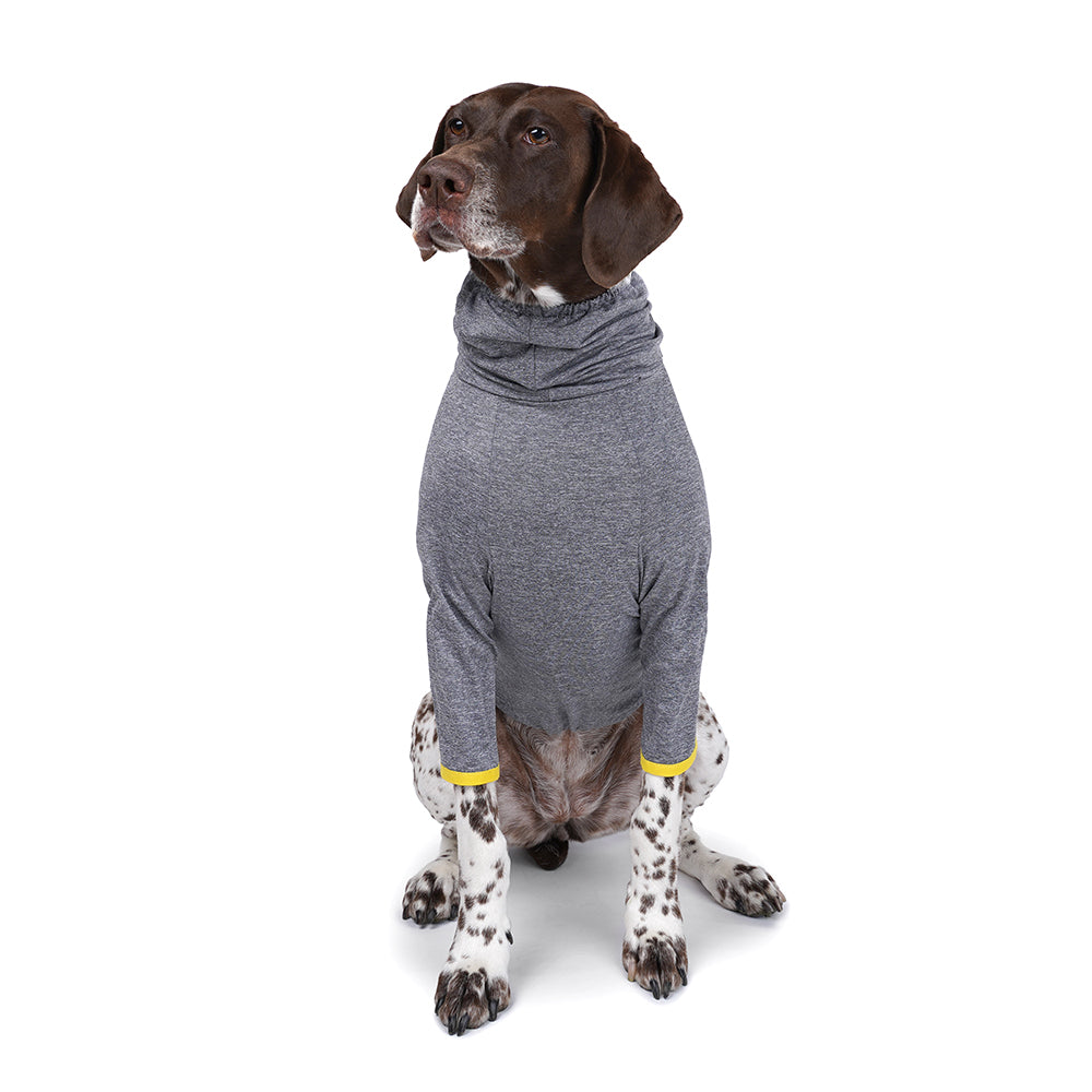 DIXIE TEE - GRAY