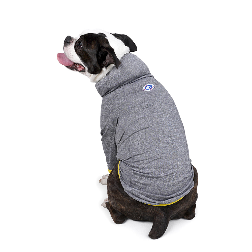 DIXIE TEE - GRAY
