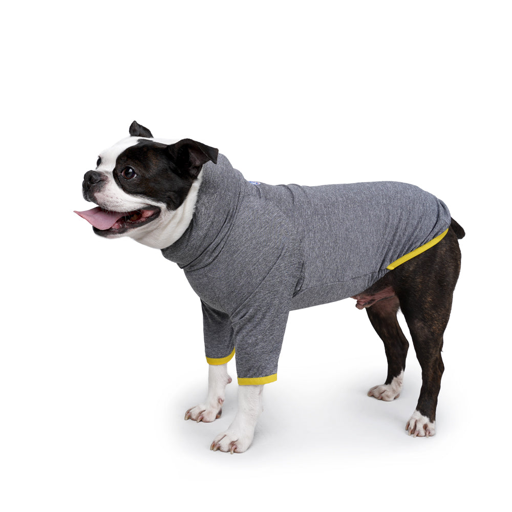 DIXIE TEE - GRAY