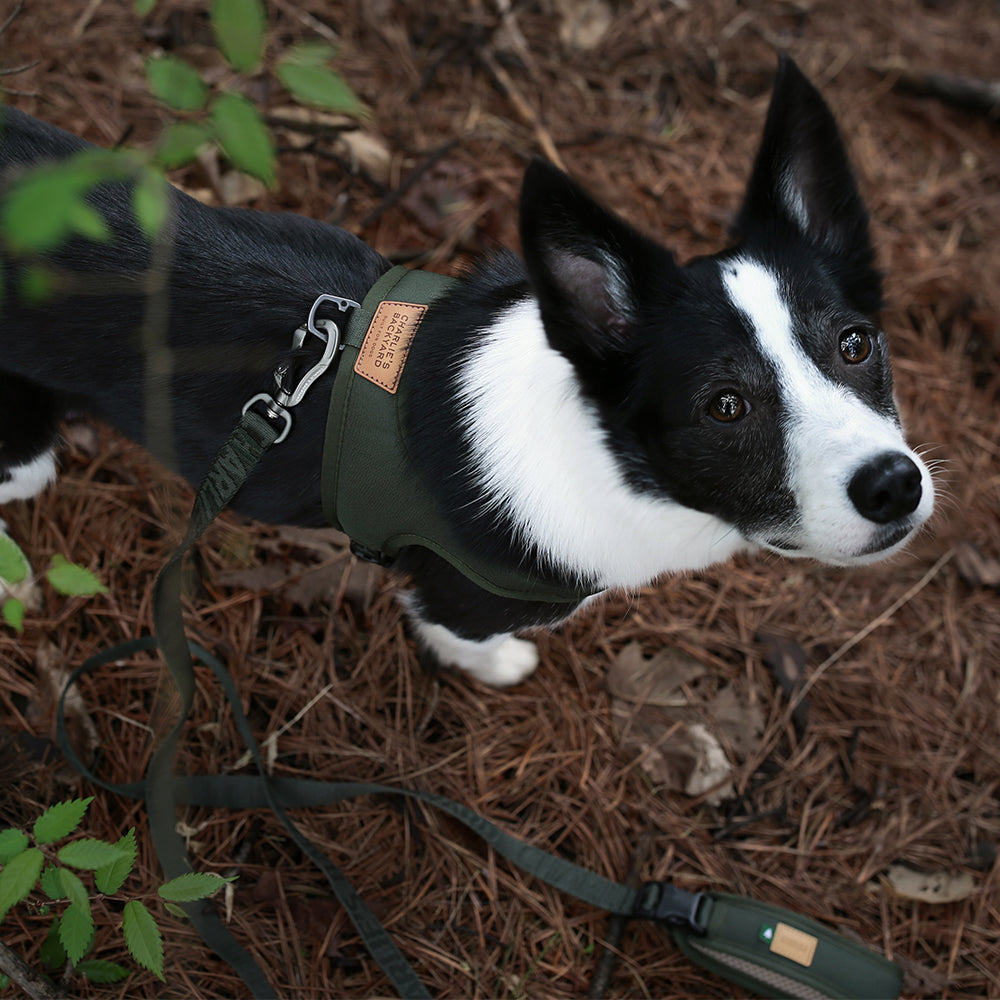 Charlie's Backyard TOWN CORDURA® HARNESS / KHAKI