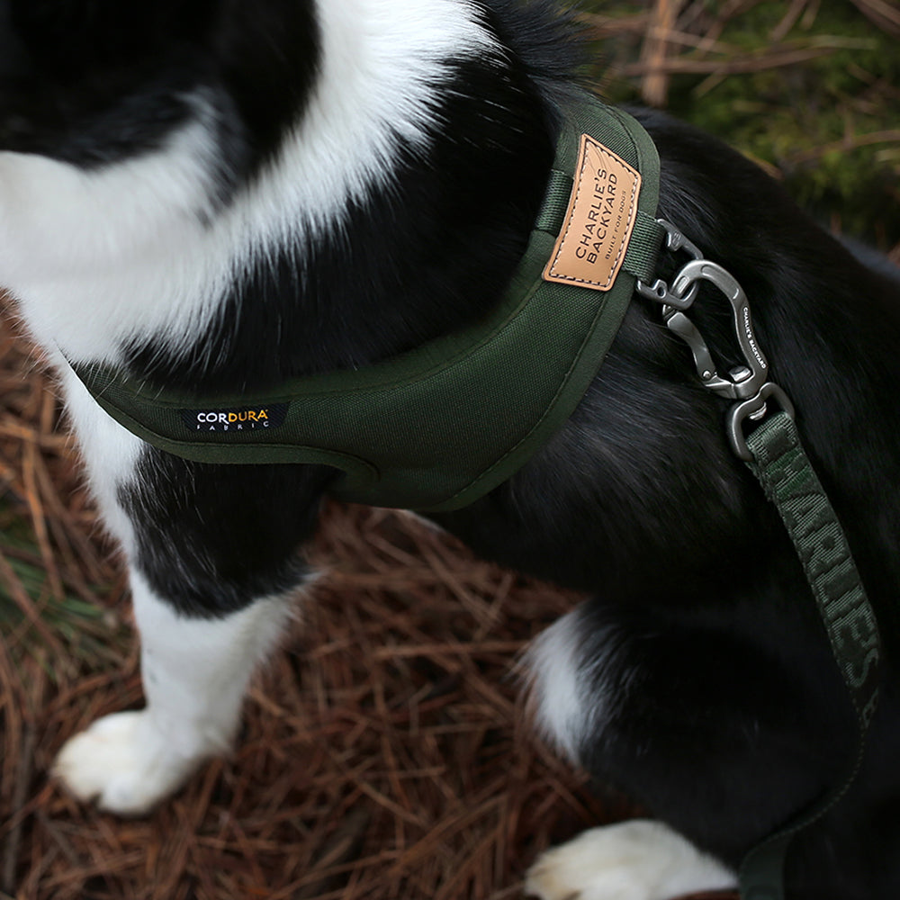 Charlie's Backyard TOWN CORDURA® HARNESS / KHAKI