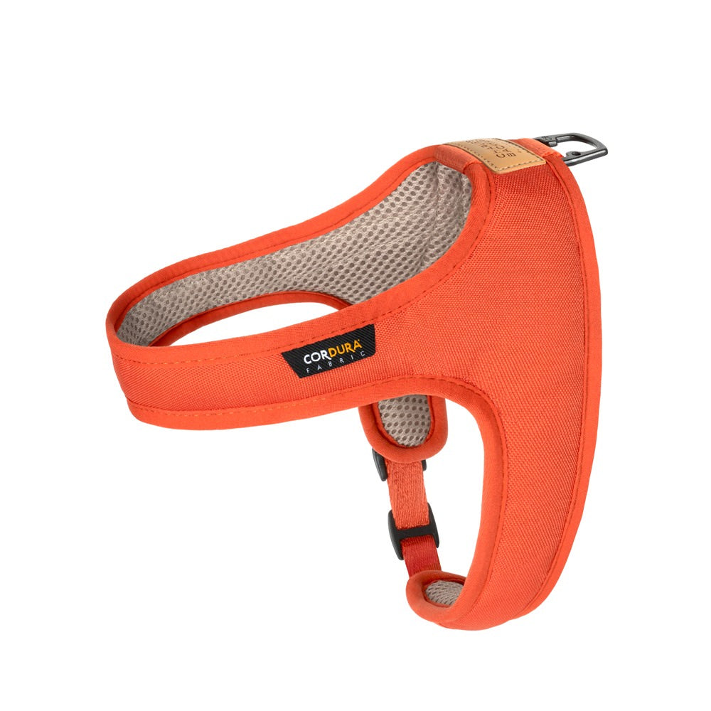 Charlie's Backyard TOWN CORDURA® HARNESS / ORANGE