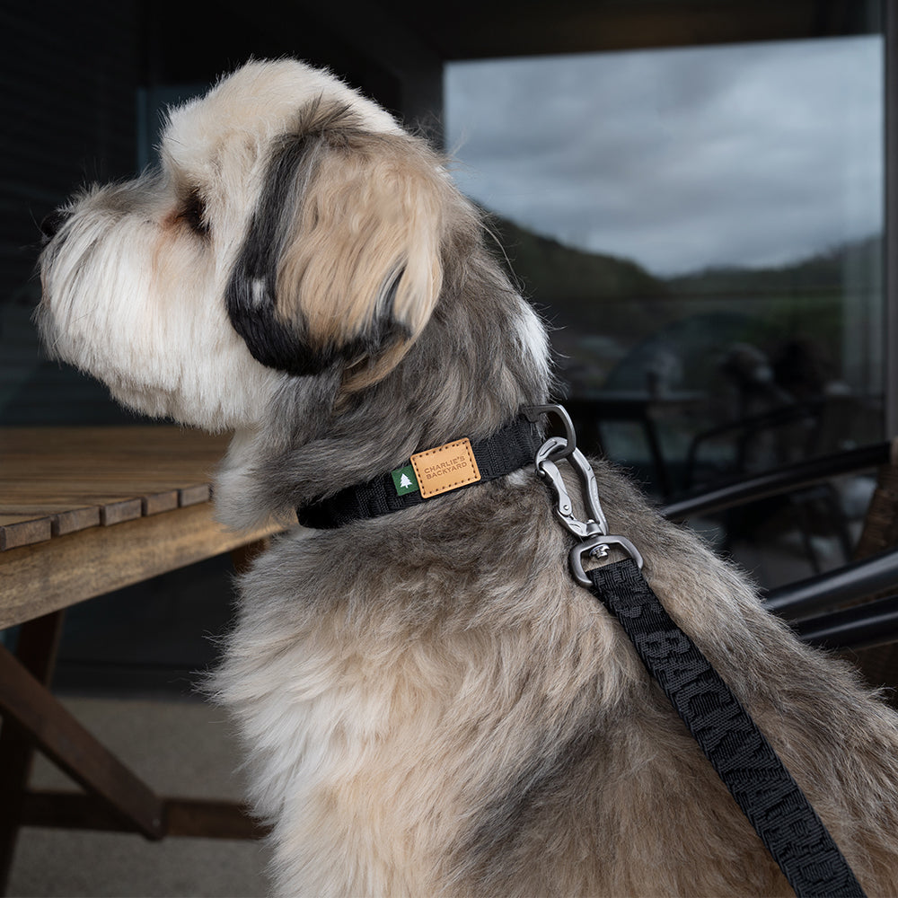 Charlie's Backyard TOWN CORDURA® LEASH / BLACK