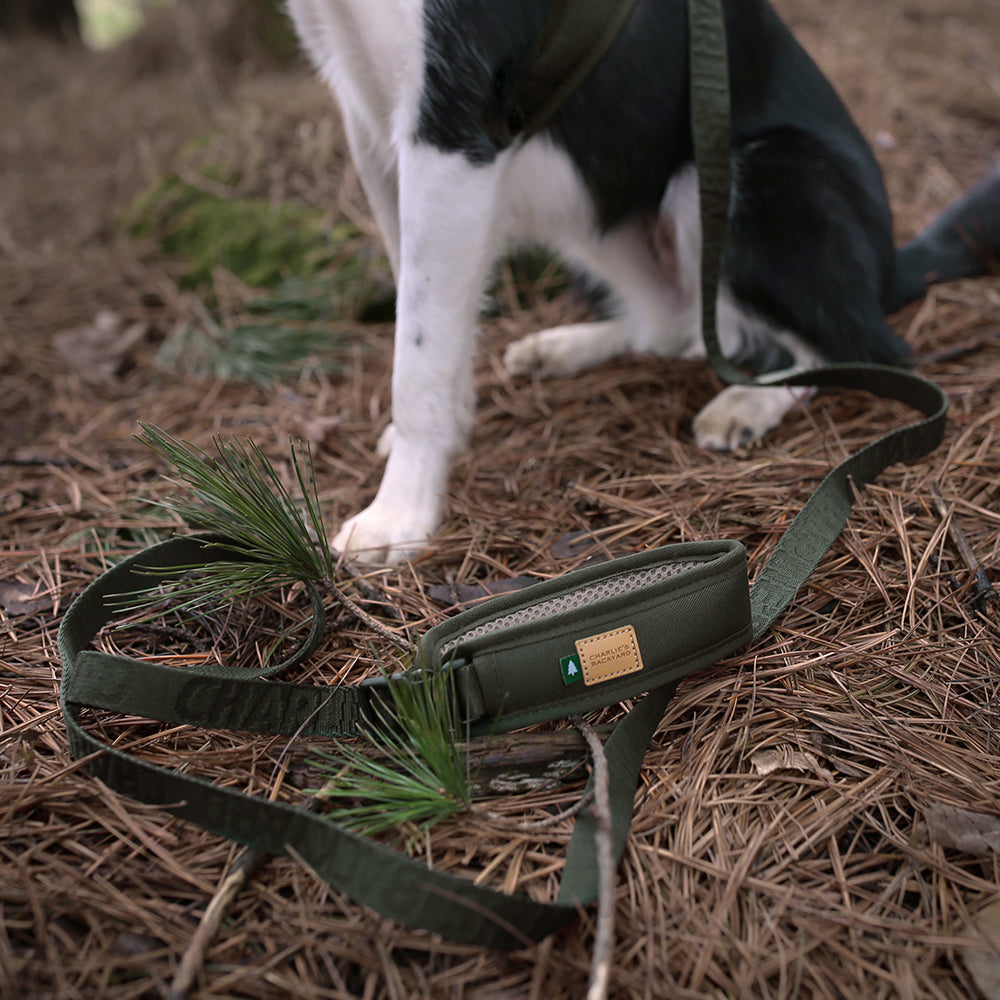 Charlie's Backyard TOWN CORDURA® LEASH / BLACK