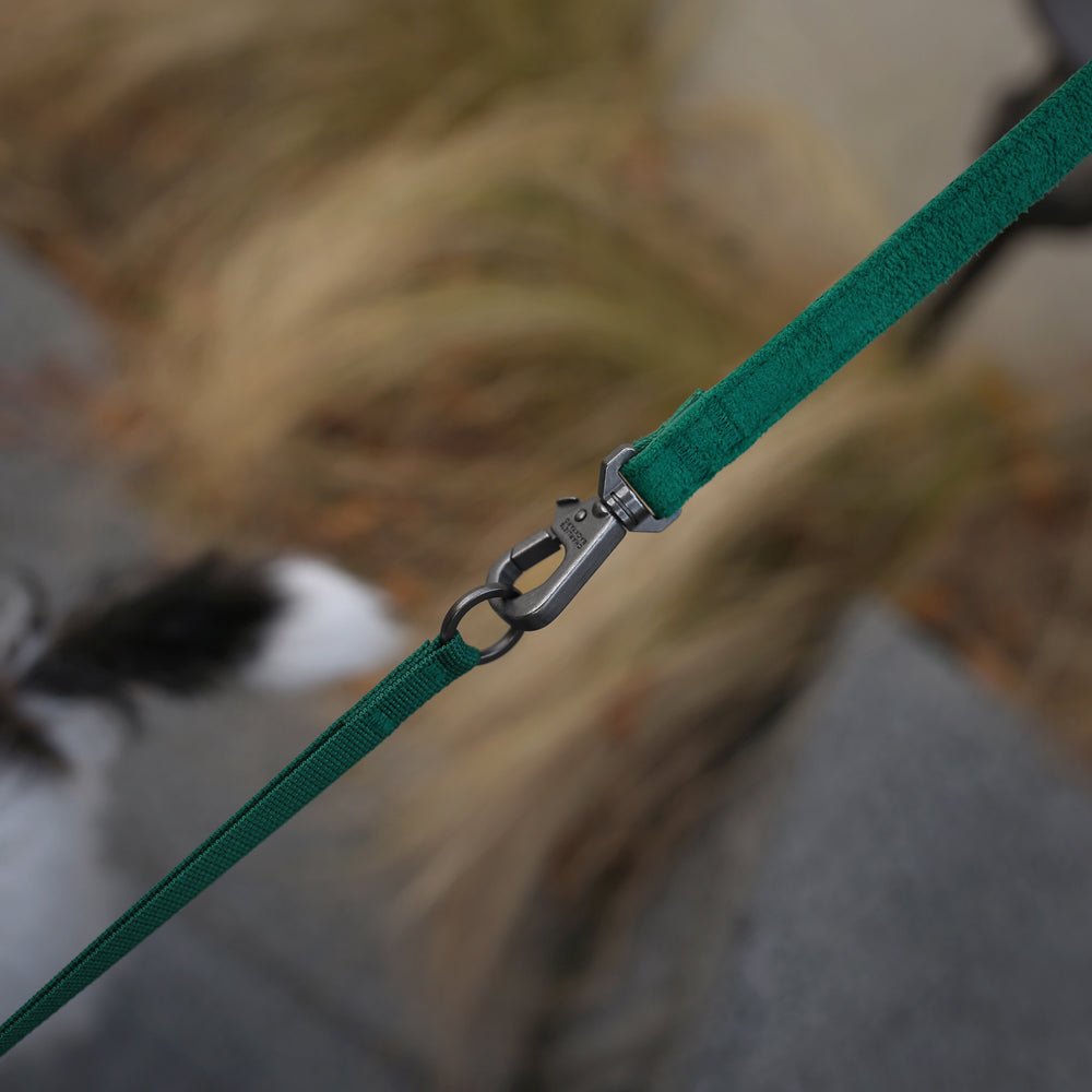 Charlie's Backyard Easy Leash for Dogs