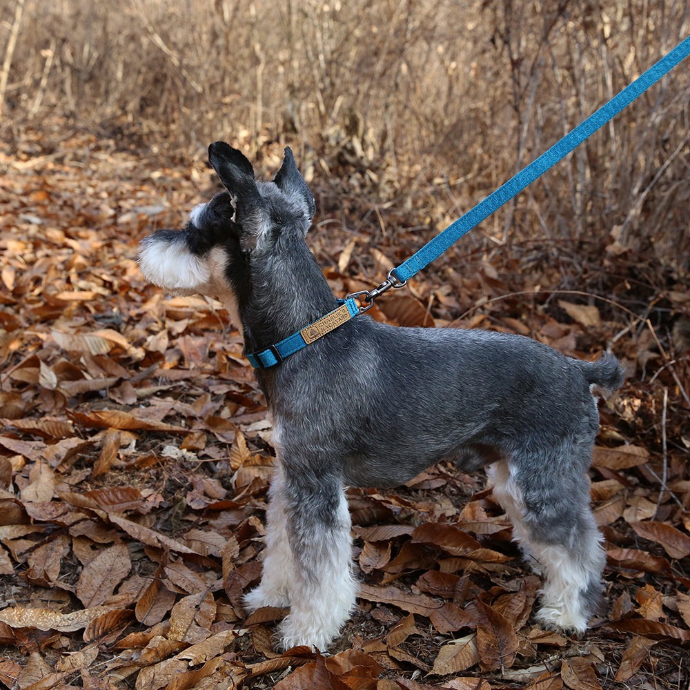 Charlie's Backyard Easy Leash for Dogs