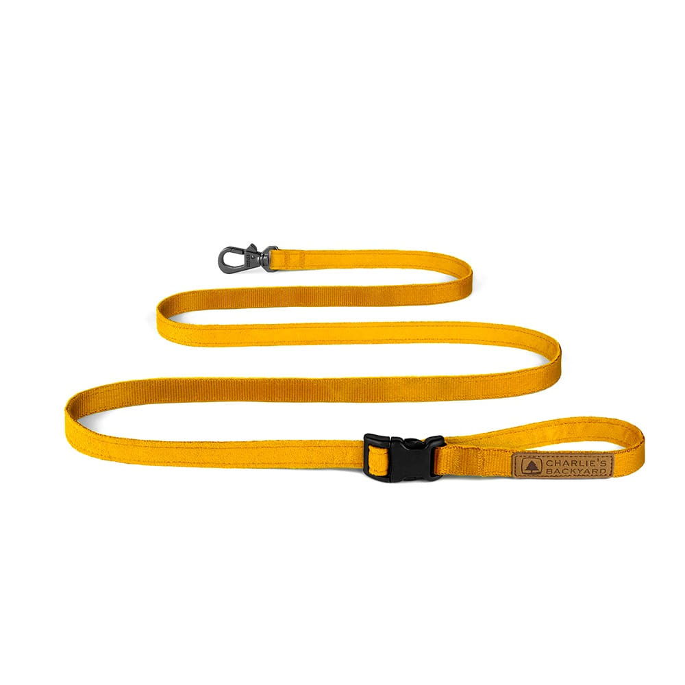 Charlie's Backyard Easy Leash for Dogs