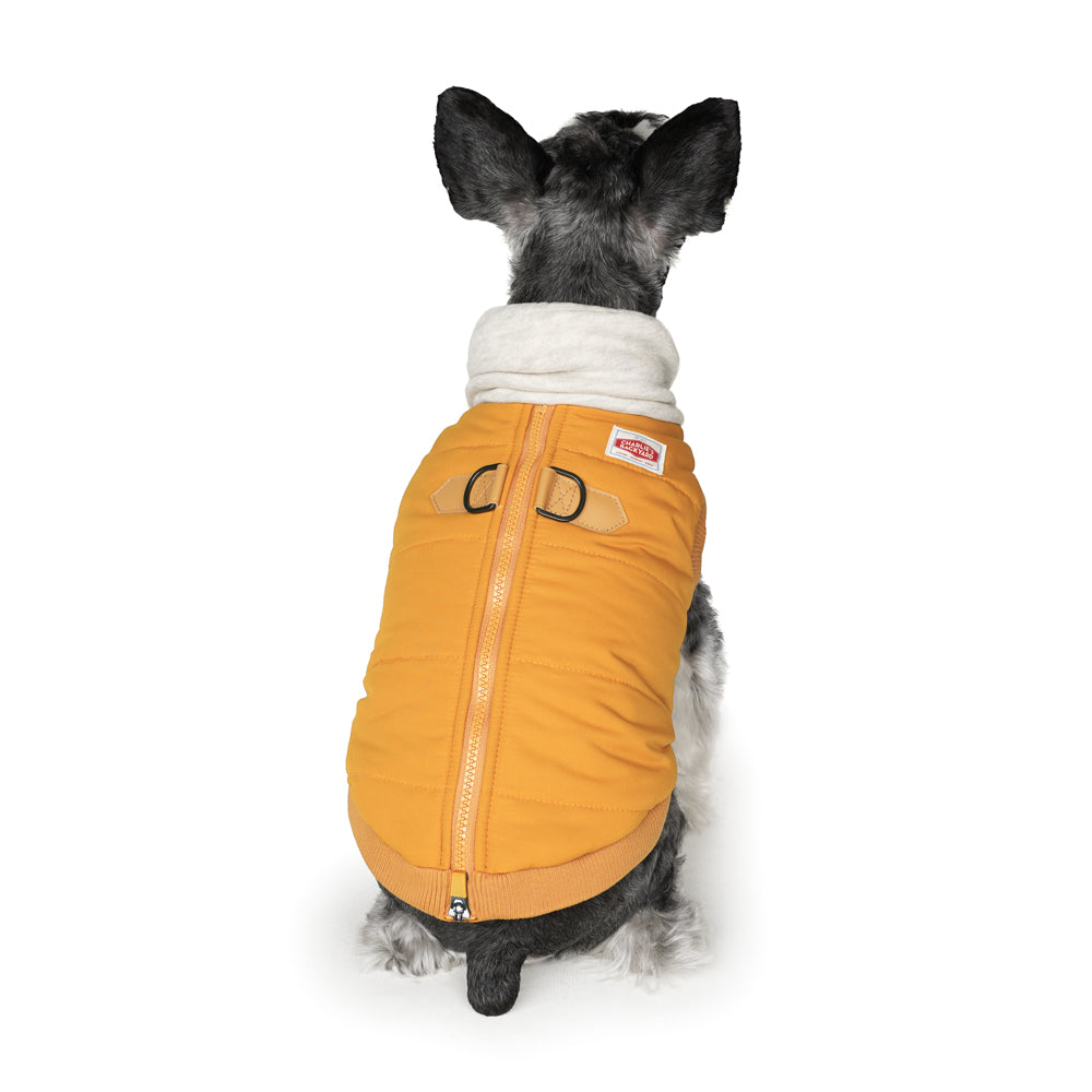 Charlie's Backyard Warm Up Harness Jacket for Dogs (Mustard)