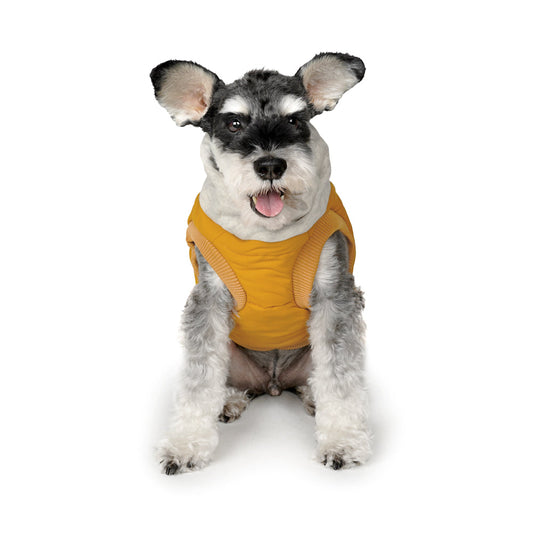 Charlie's Backyard Warm Up Harness Jacket for Dogs (Mustard)