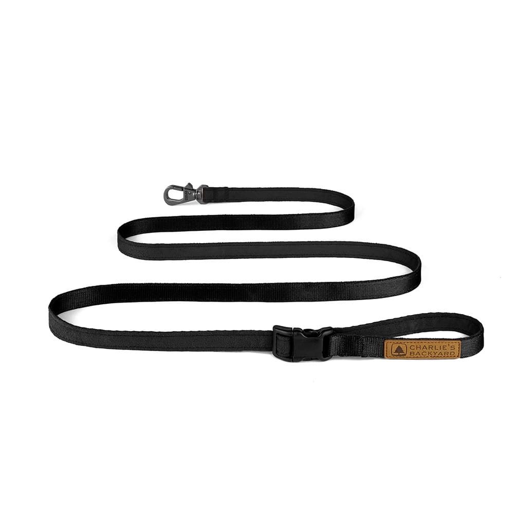 Charlie's Backyard Easy Leash for Dogs