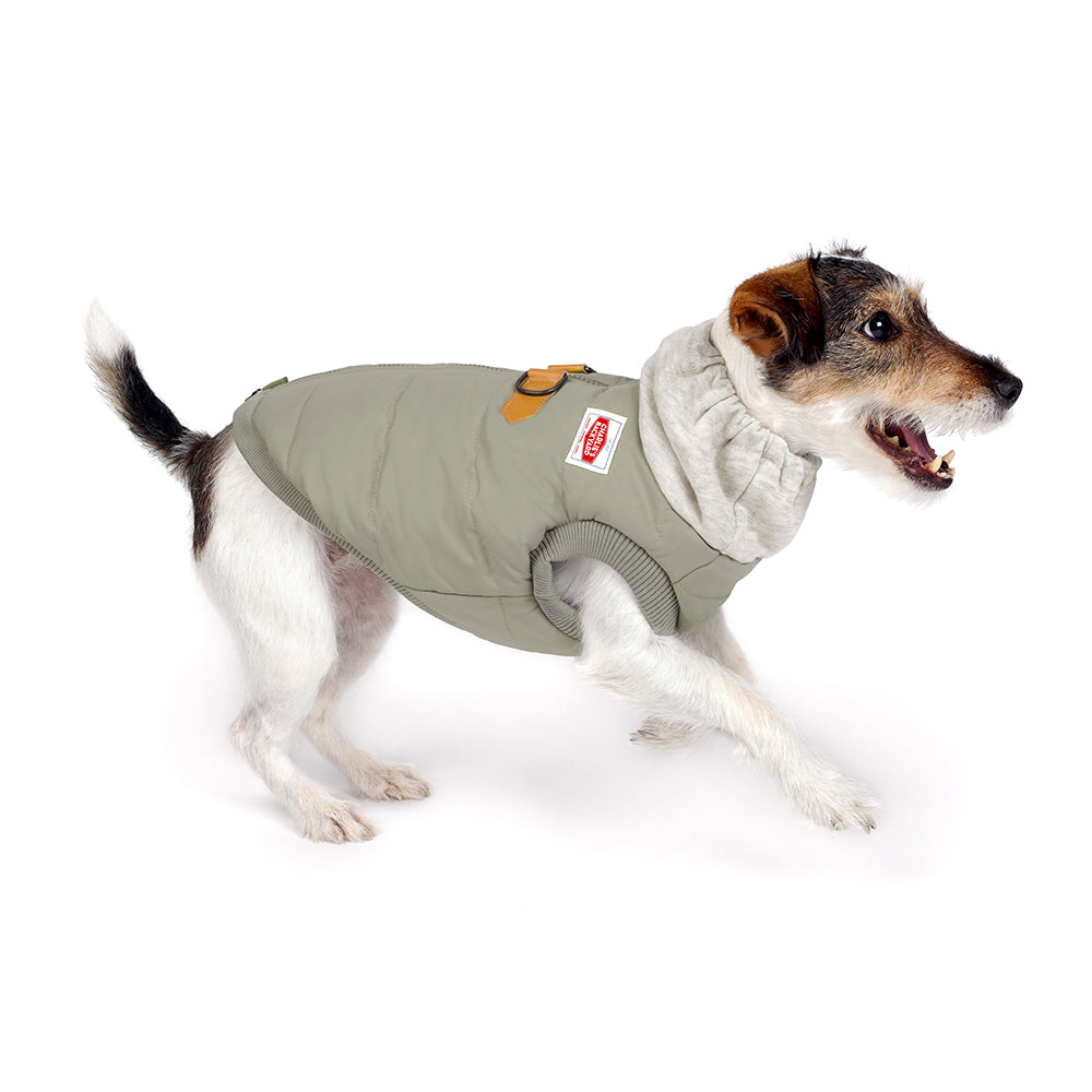 Charlie's Backyard Warm Up Harness Jacket for Dogs (Beige)