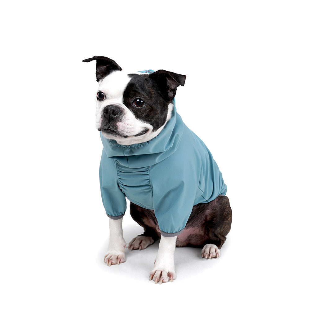 Charlie's Backyard Trek Shell Jacket for Dogs (Ash Blue)