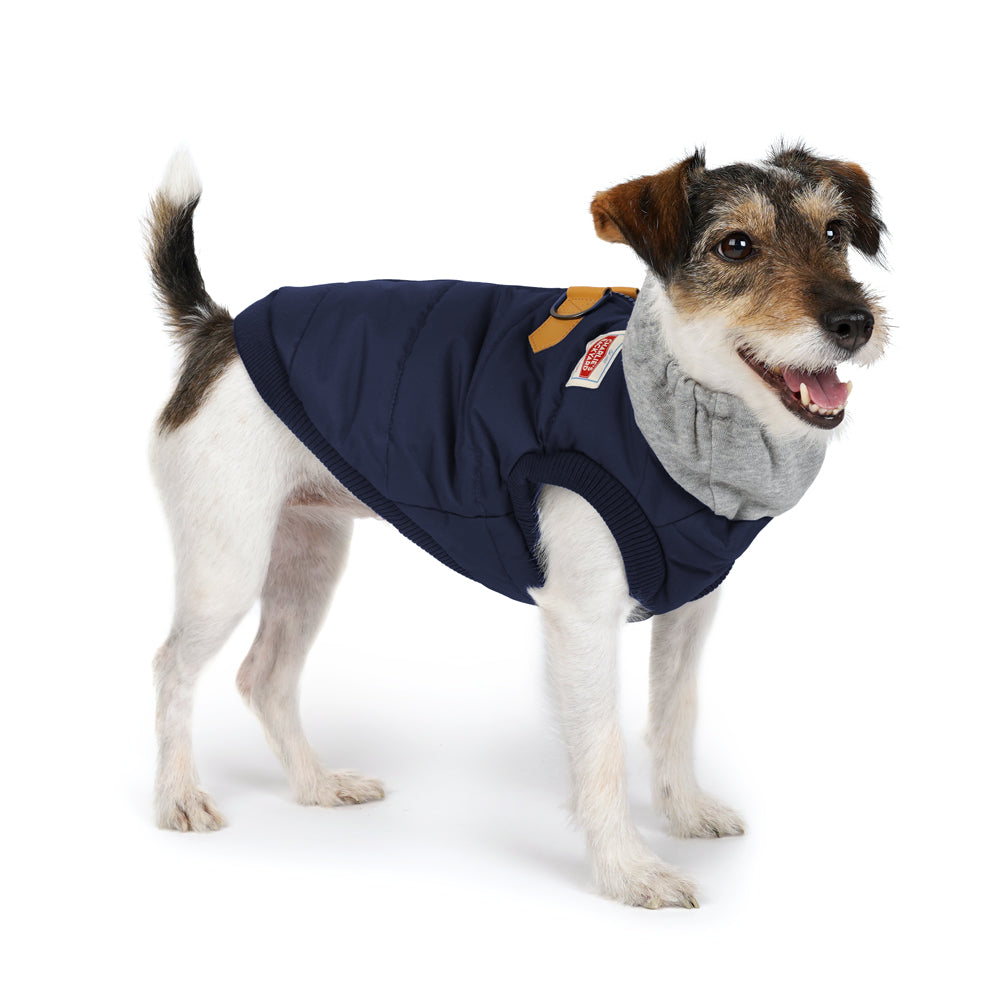 Charlie's Backyard Warm Up Harness Jacket for Dogs (Navy)