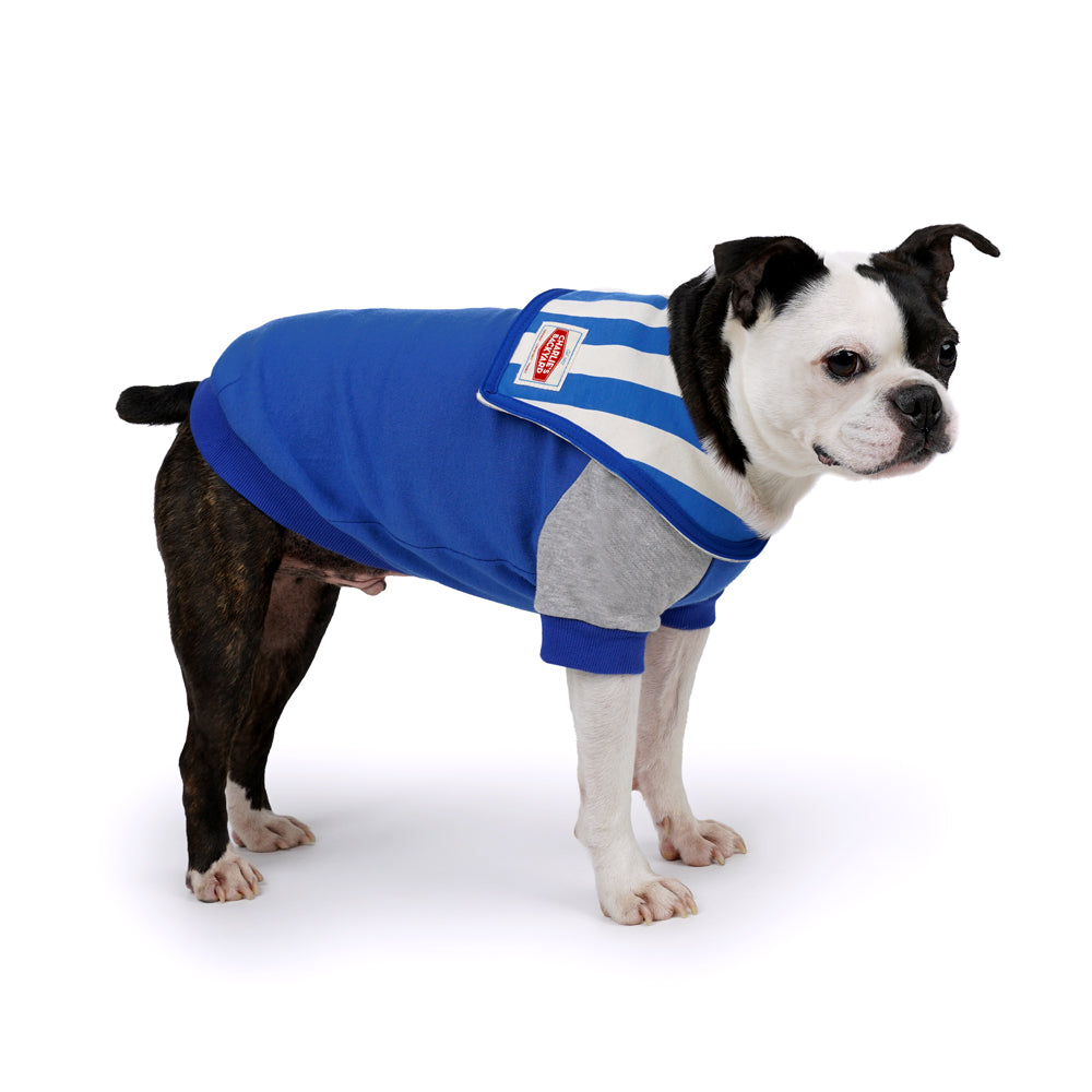 Charlie's Backyard Yacht Tee for Dogs (Blue)