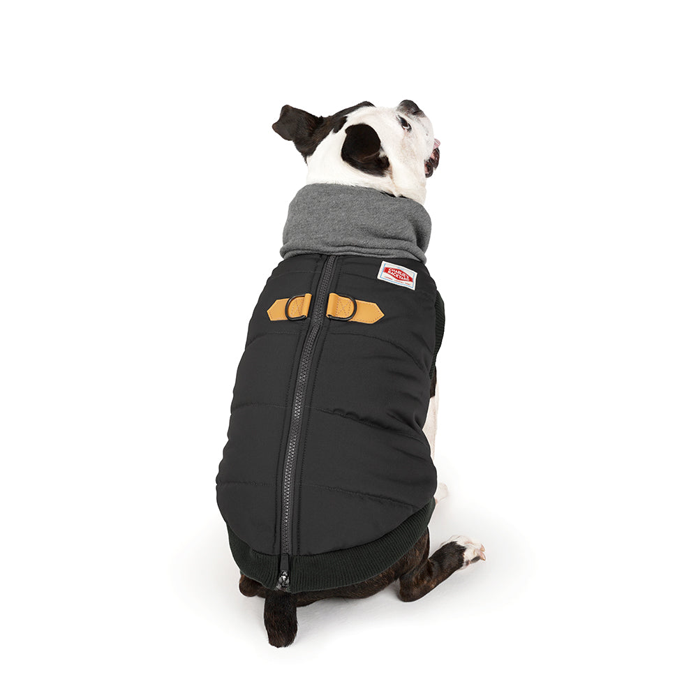 Charlie's Backyard Warm Up Harness Jacket for Dogs (Black)