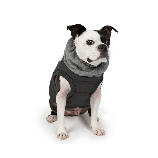 Charlie's Backyard Warm Up Harness Jacket for Dogs (Black)