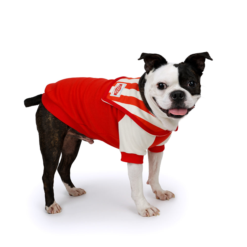 Charlie's Backyard Yacht Tee for Dogs (Red)