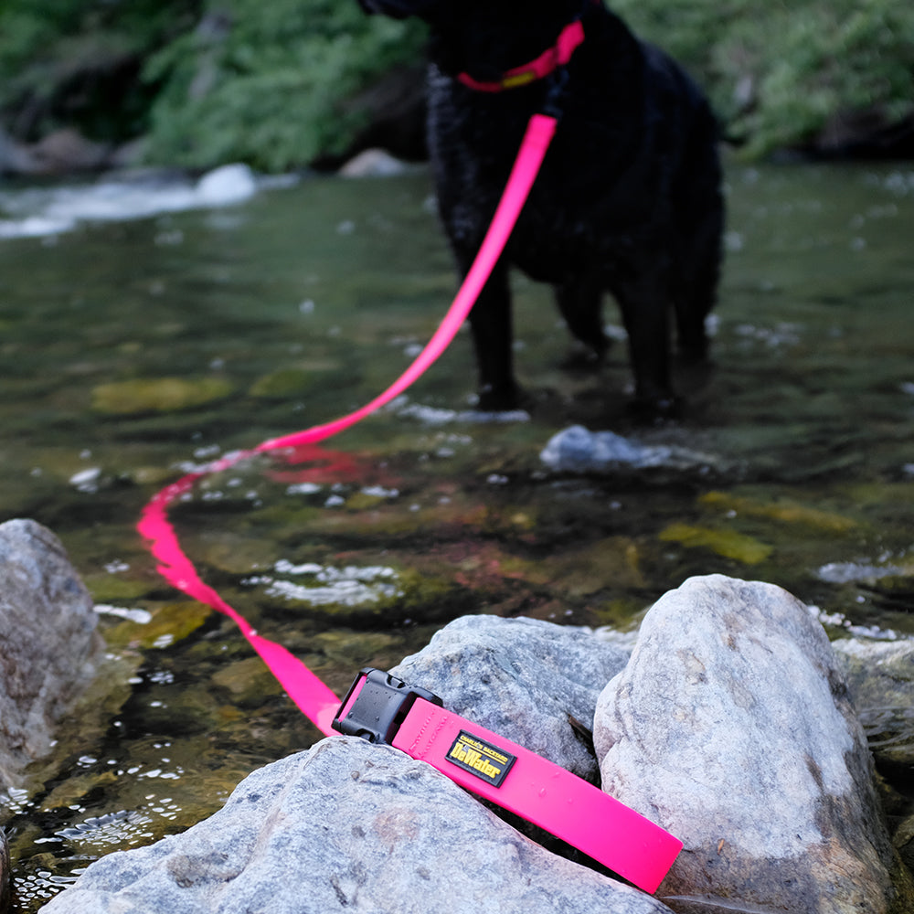 DeWater LEASH