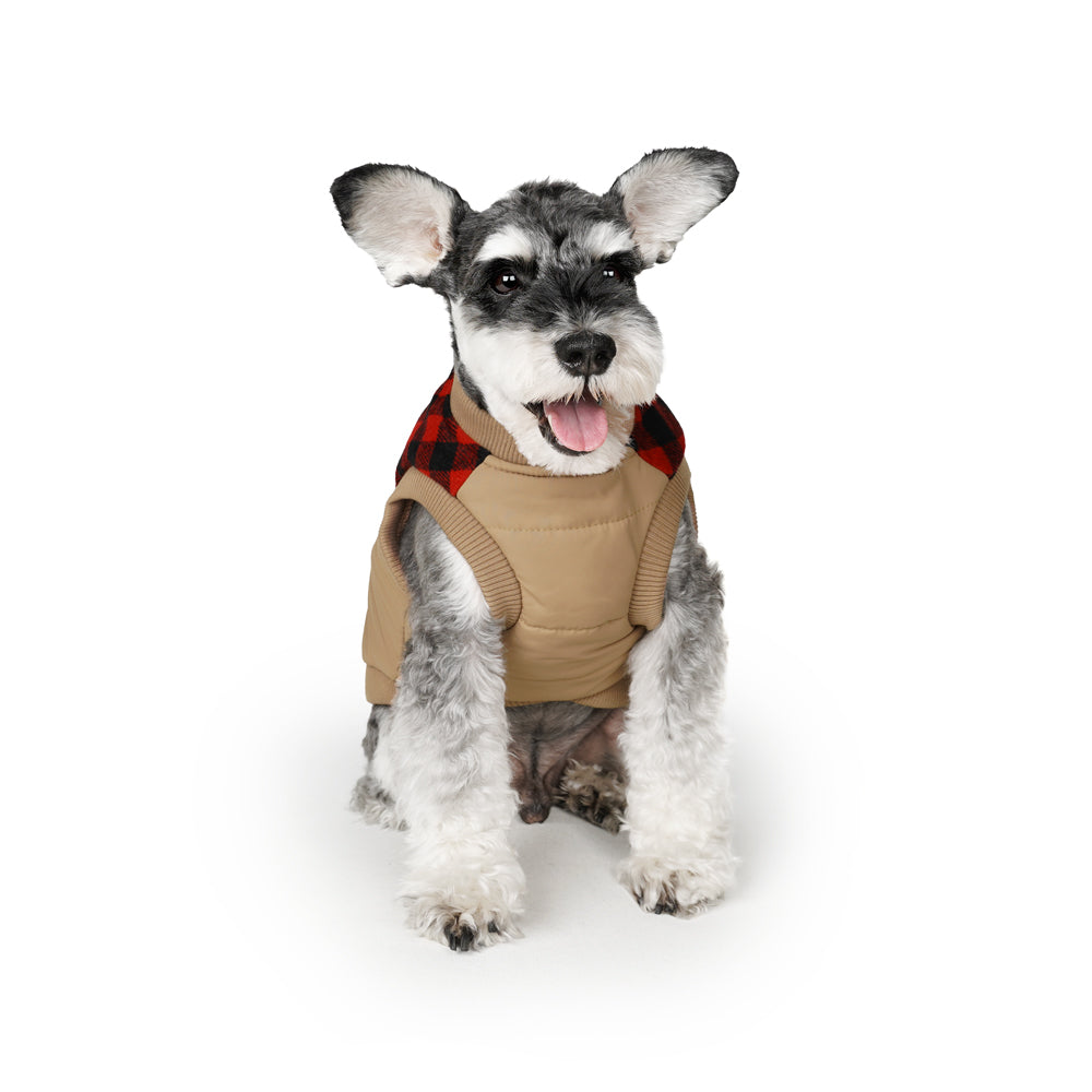 Charlie's Backyard Harness Jacket for Dogs (Beige Check)