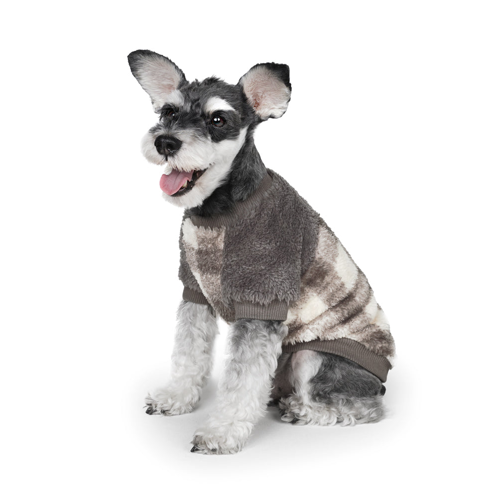 Charlie's Backyard Lany Tee for Dogs (Gray)