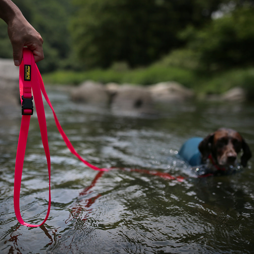 DeWater LONG LEASH