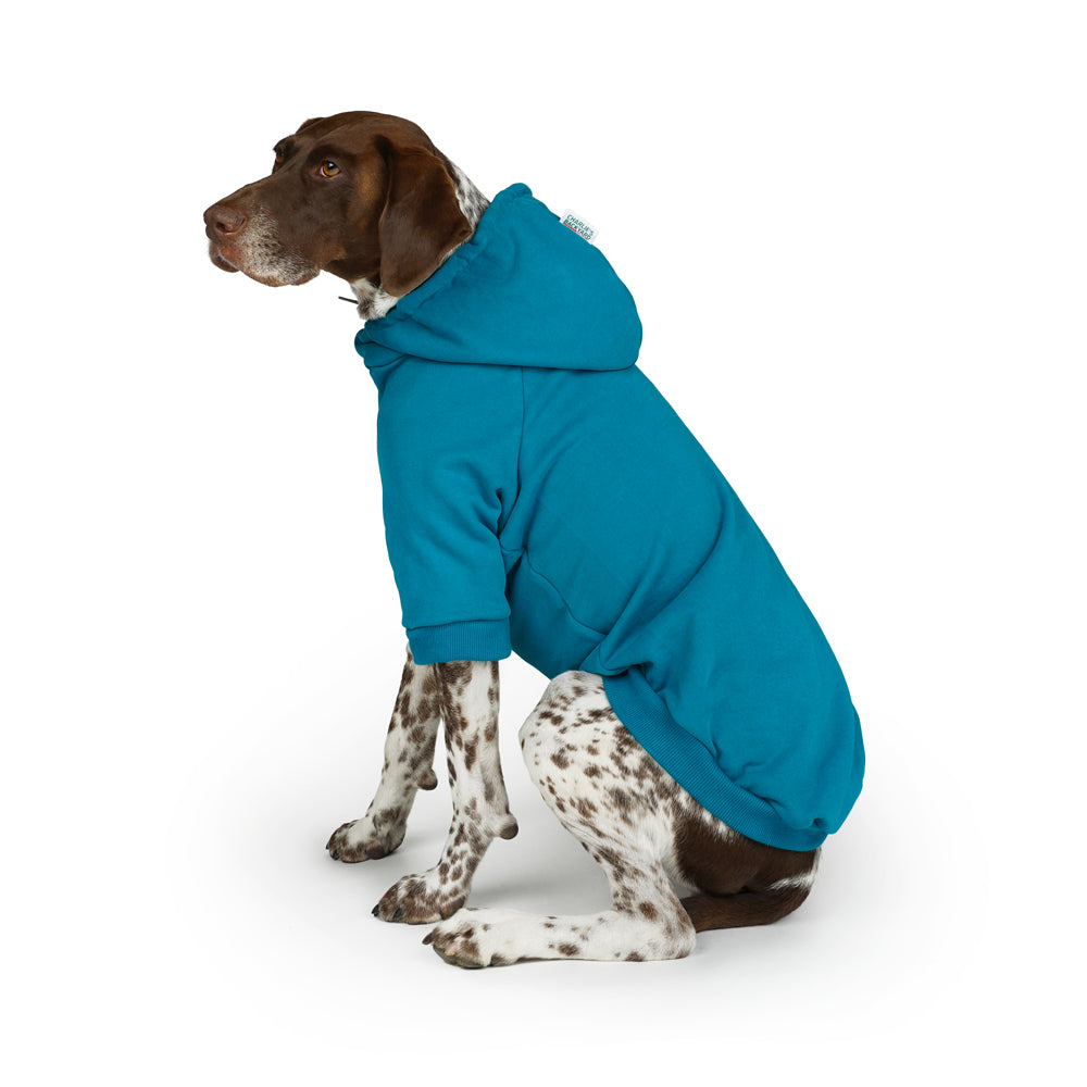 Charlie's Backyard Plain Hoodie for Dogs (Teal Blue)