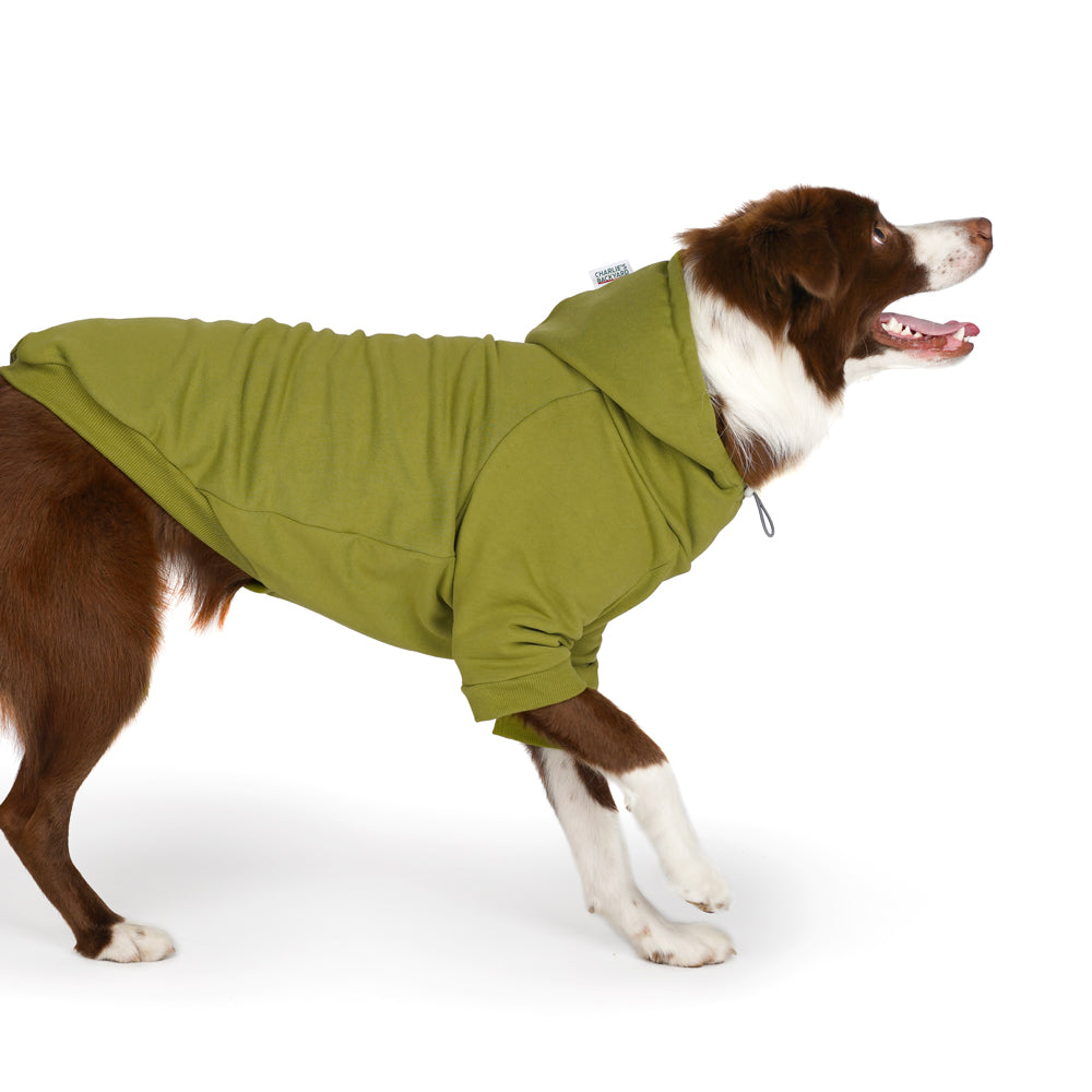 Charlie's Backyard Plain Hoodie for Dogs (Olive)