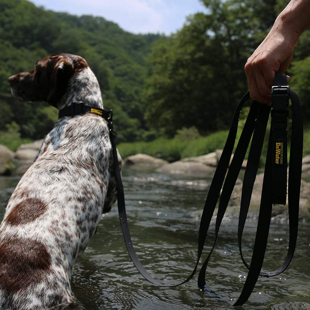 DeWater LONG LEASH