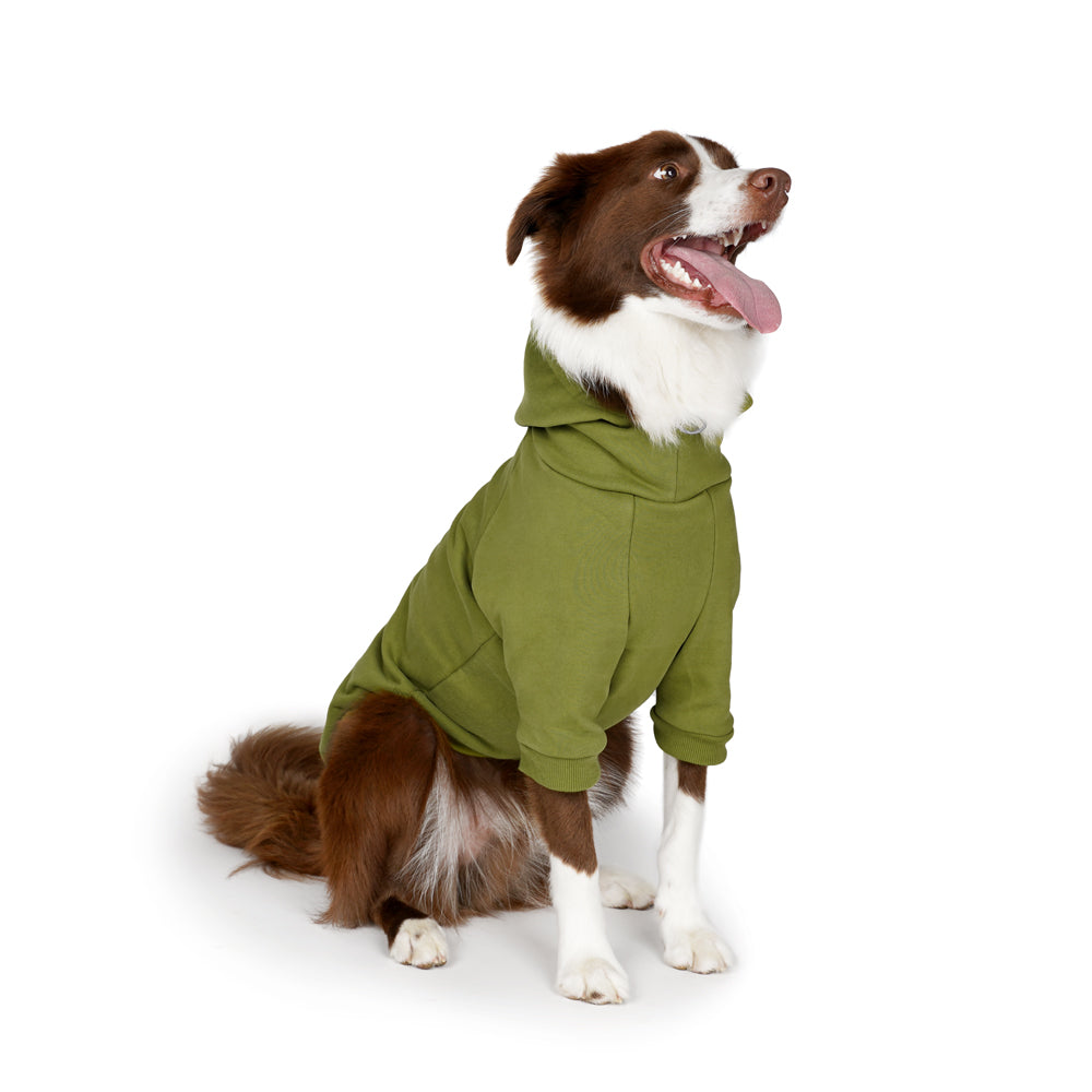 Charlie's Backyard Plain Hoodie for Dogs (Olive)