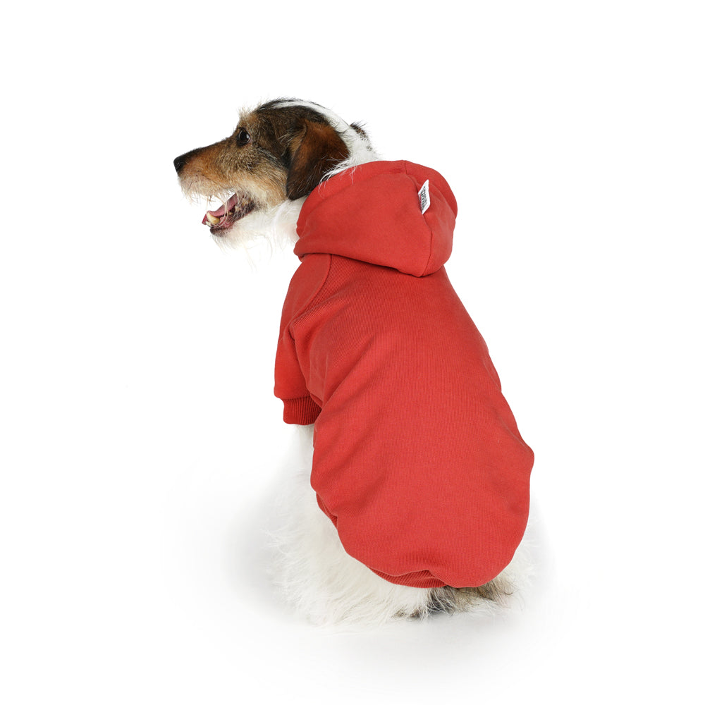 Charlie's Backyard Plain Hoodie for Dogs (Brick Red)