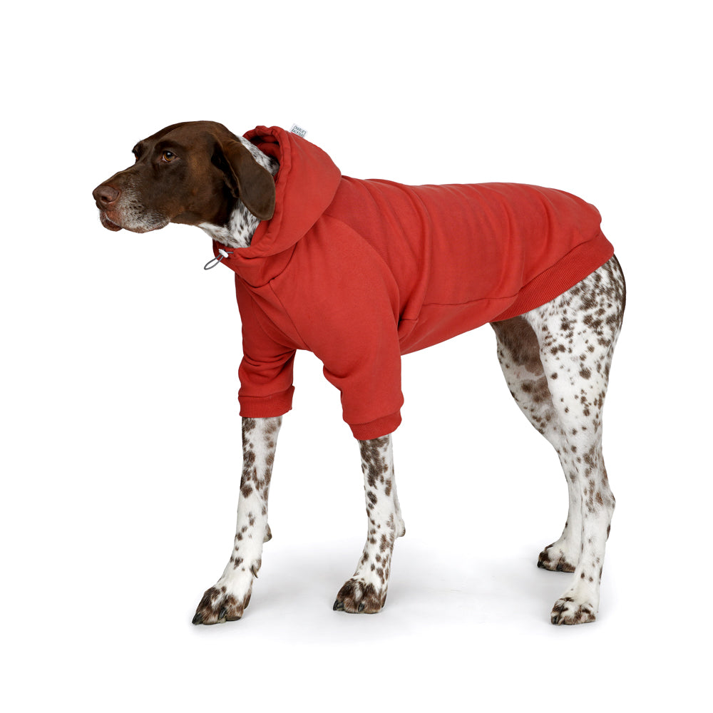 Charlie's Backyard Plain Hoodie for Dogs (Brick Red)