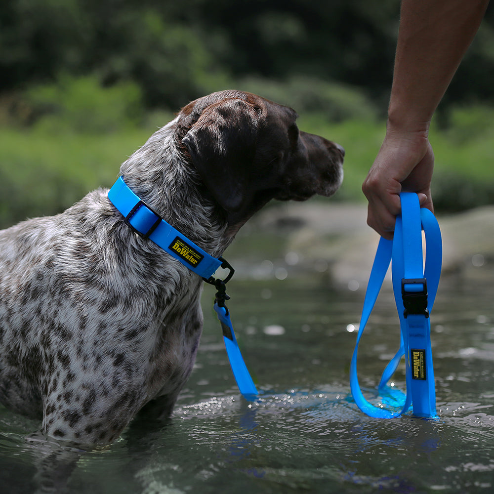 DeWater LONG LEASH