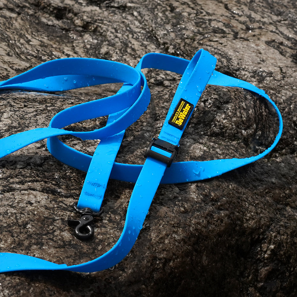 DeWater LONG LEASH