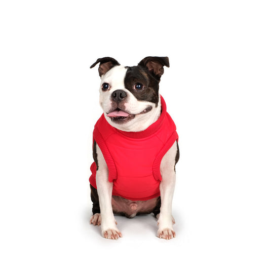 Charlie's Backyard Harness Jacket for Dogs (Red)