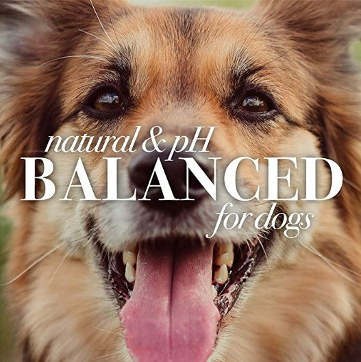 Burt's Bees for Dogs Natural Itch Soothing Shampoo with Honeysuckle | Anti-Itch Dog Shampoo for All Dogs with Dry, Itchy, and Sensitive Skin | Cruelty Free, Sulfate & Paraben Free - 32 Oz