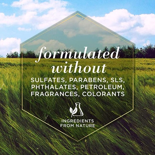 Burt's Bees for Dogs Natural Itch Soothing Shampoo with Honeysuckle | Anti-Itch Dog Shampoo for All Dogs with Dry, Itchy, and Sensitive Skin | Cruelty Free, Sulfate & Paraben Free - 32 Oz