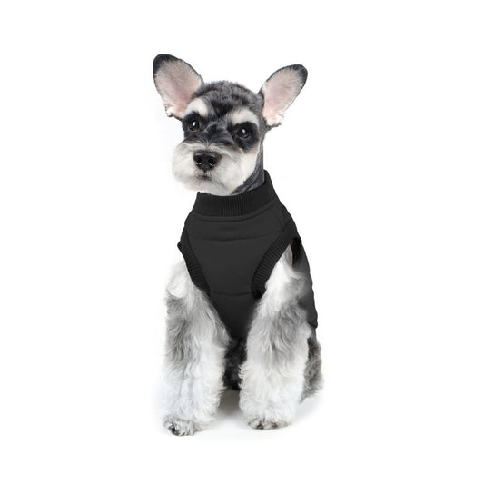 Charlie's Backyard Harness Jacket for Dogs (Black)