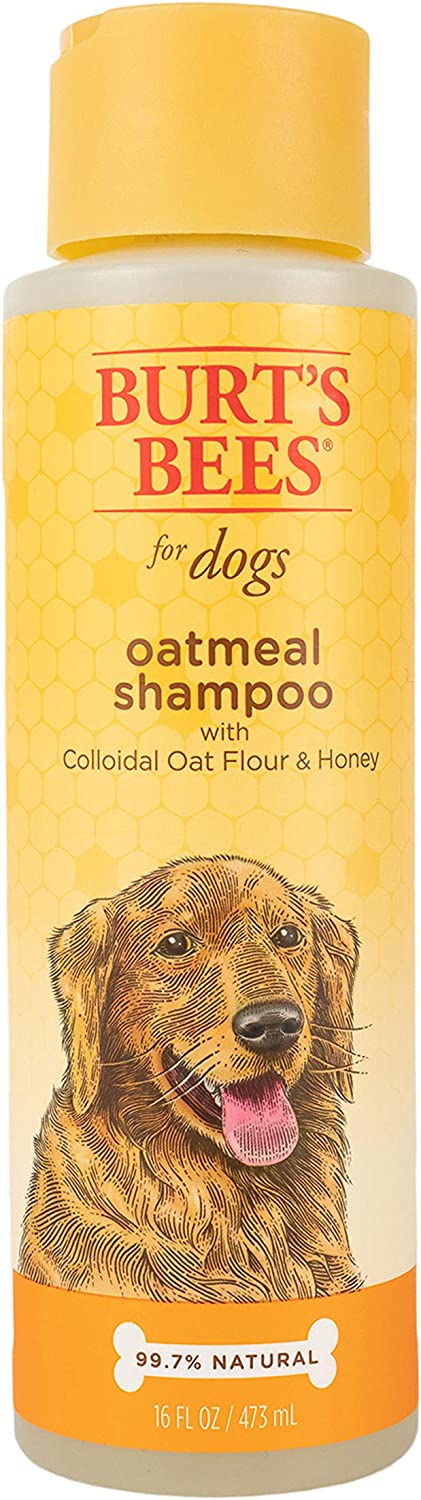 Burt's Bees for Pets Oatmeal Dog Shampoo | With Colloidal Oat Flour & Honey | Moisturizing & Nourishing, Cruelty Free, Sulfate & Paraben Free, pH Balanced for Dogs - Made in USA, 16 Oz