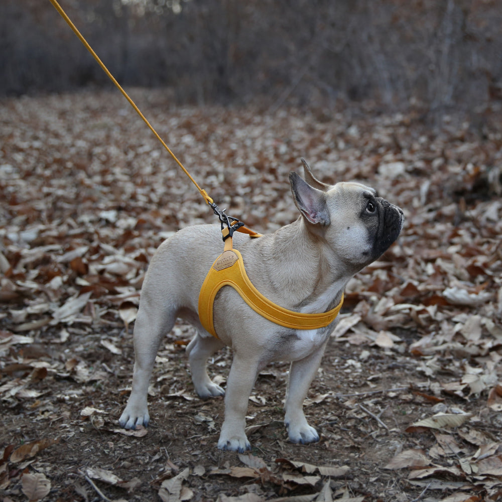 Charlie's Backyard Buckle Up Easy Harness for Dogs (Yellow)