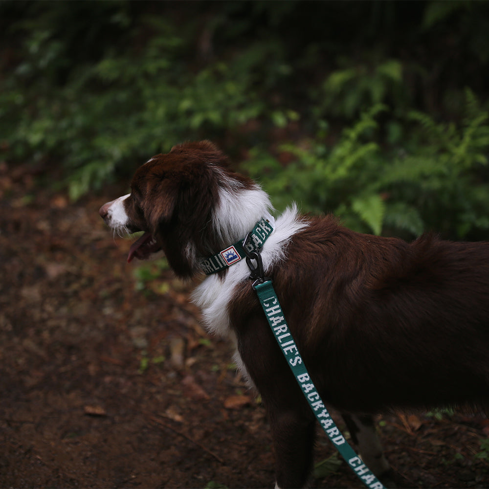 Charlie's Backyard Trip Collar (Green)