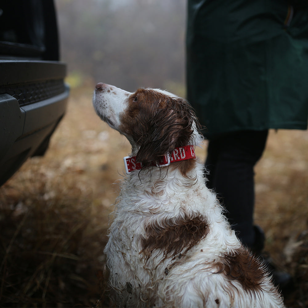 Charlie's Backyard Trip Collar (Red)