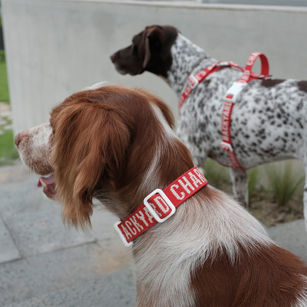 Charlie's Backyard Trip Collar (Red)